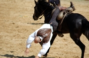 Horse Riding Accidents